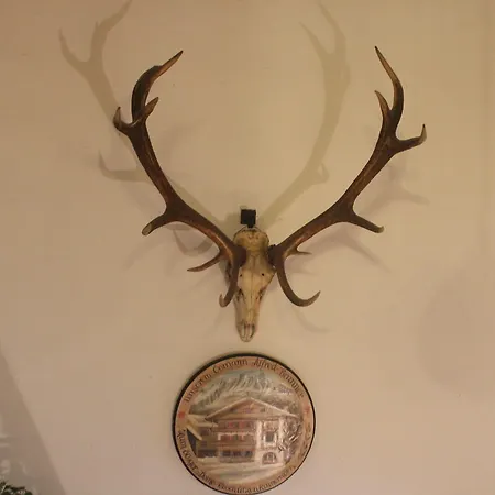 Szálloda Gasthof Mauth